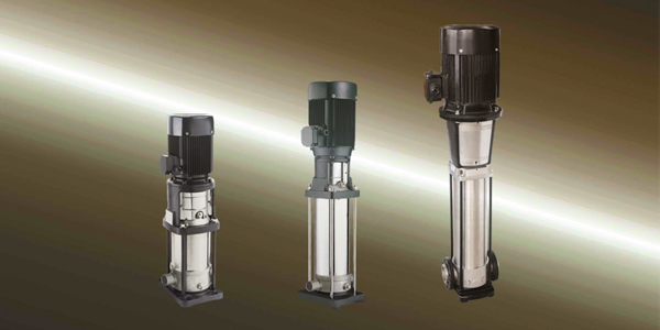 Pacchi Products